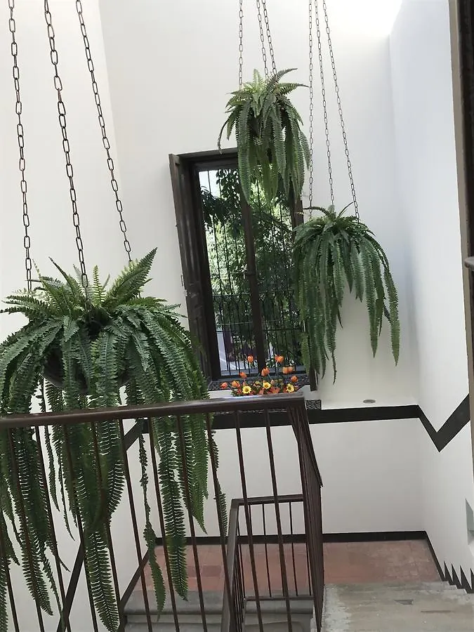 Casa Jesus Maria Apartment Guadalajara Homestay