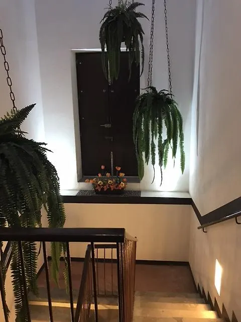 Homestay Casa Jesus Maria Apartment Guadalajara